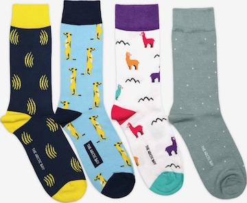 Chaussettes 'ORUN EDITION Gift box 4 Pack Unisex' The Arctic Bay en mélange de couleurs : devant