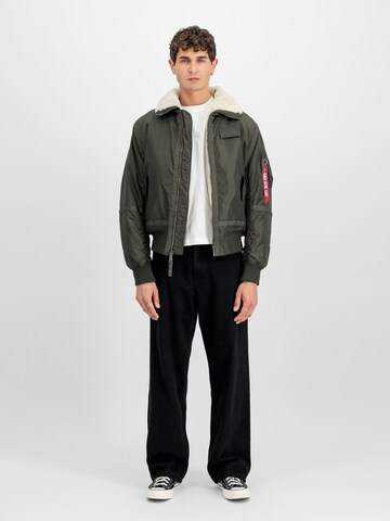 ALPHA INDUSTRIES Winter Jacket 'B15-3 TT' in Grey: front