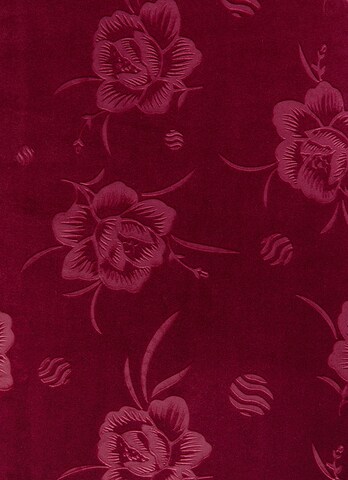 Ragwear Kleid in Rot