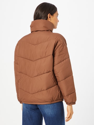 HOLLISTER Winter jacket in Brown