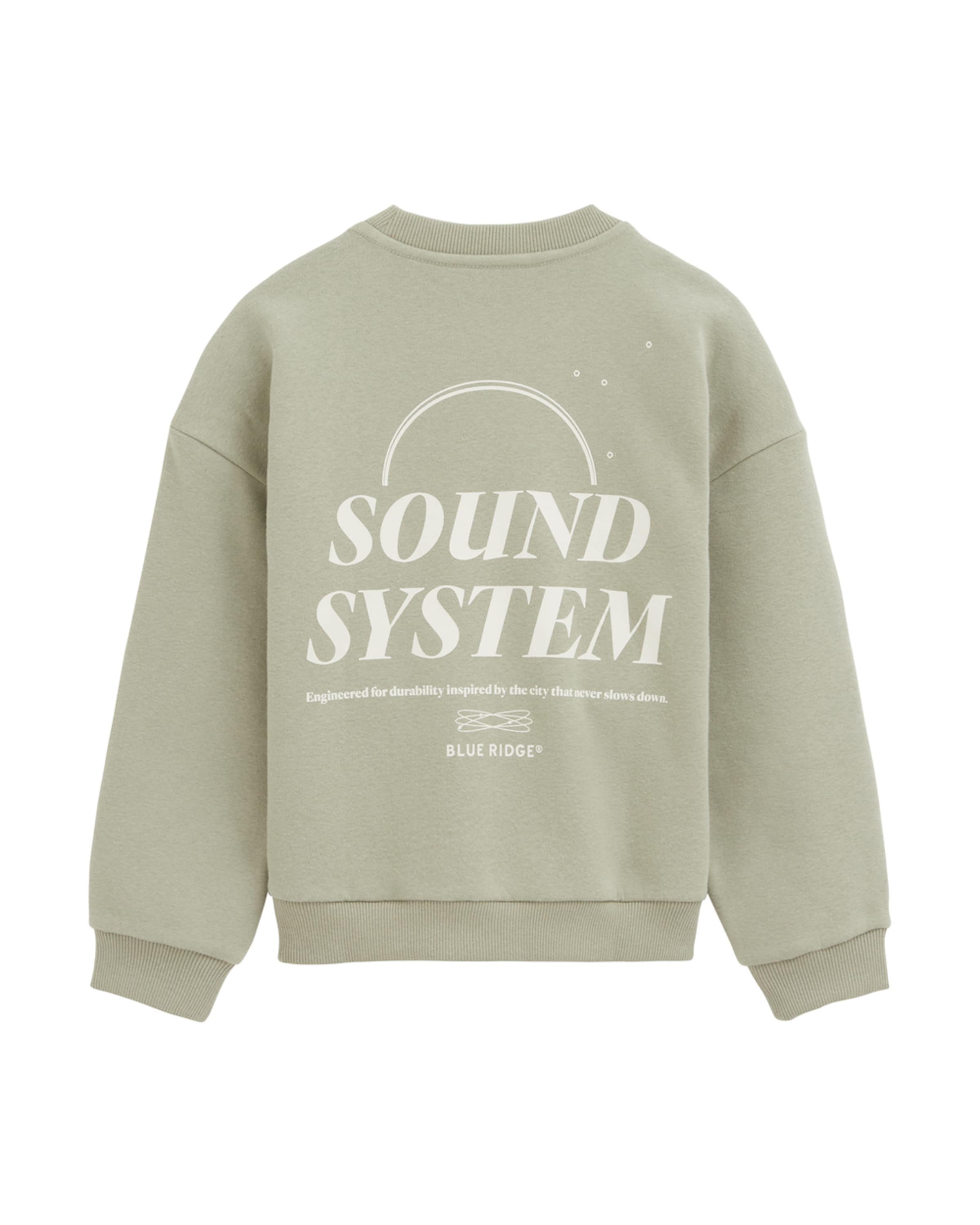 WE Fashion Sweatshirt in Groen