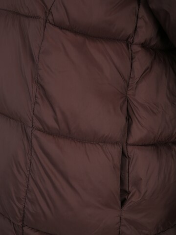 Only Tall Winter Jacket 'Moon' in Brown