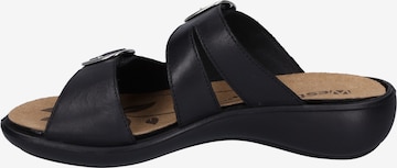 Westland Pantolette 'Ibiza' in Schwarz