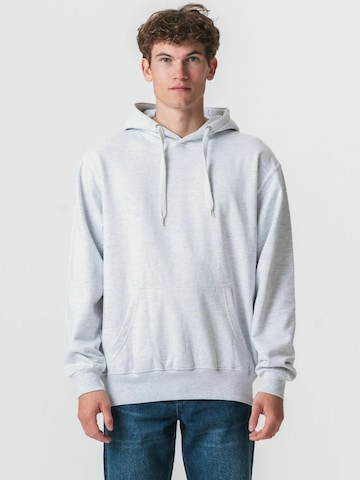 Pull-over ' Hoodie ' TEESHOPPEN en gris : devant