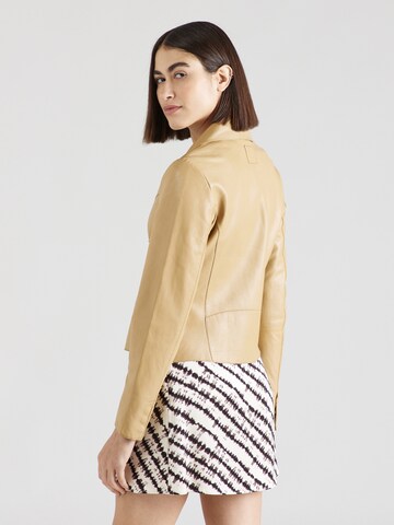 FREAKY NATION Between-season jacket in Brown