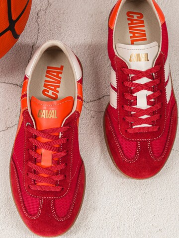 Caval Veterschoen 'Pulse' in Rood