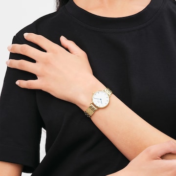 Daniel Wellington Analoog horloge in Goud