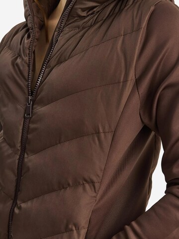 Bianco Lucci Winter Jacket in Brown