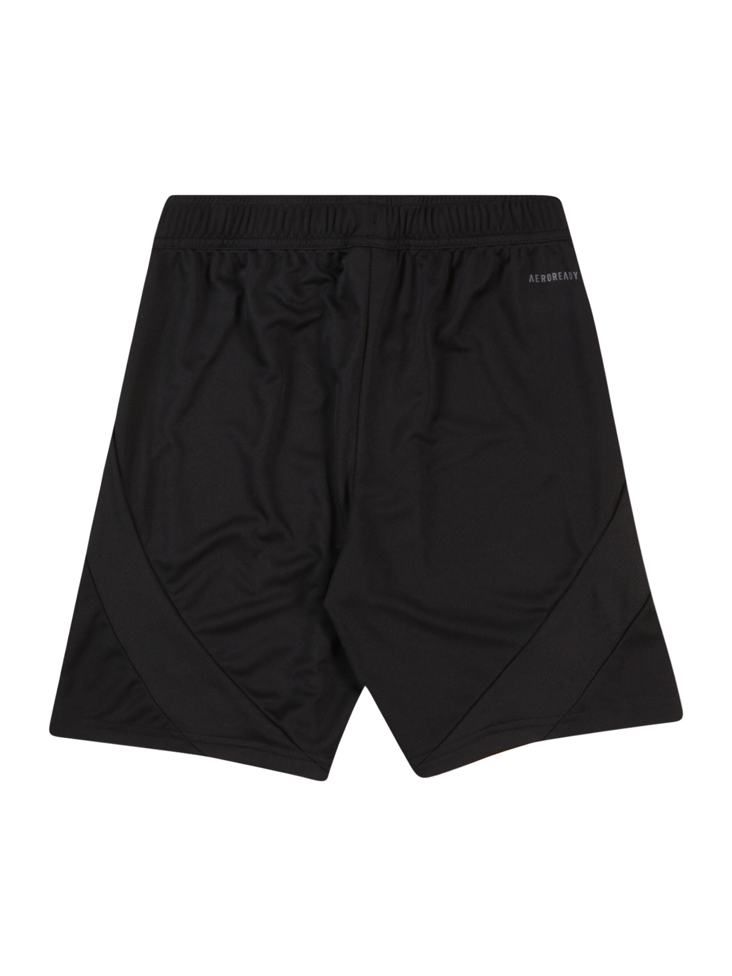 ADIDAS PERFORMANCE Regularen Športne hlače 'FC Bayern München Away 24-25' | črna barva