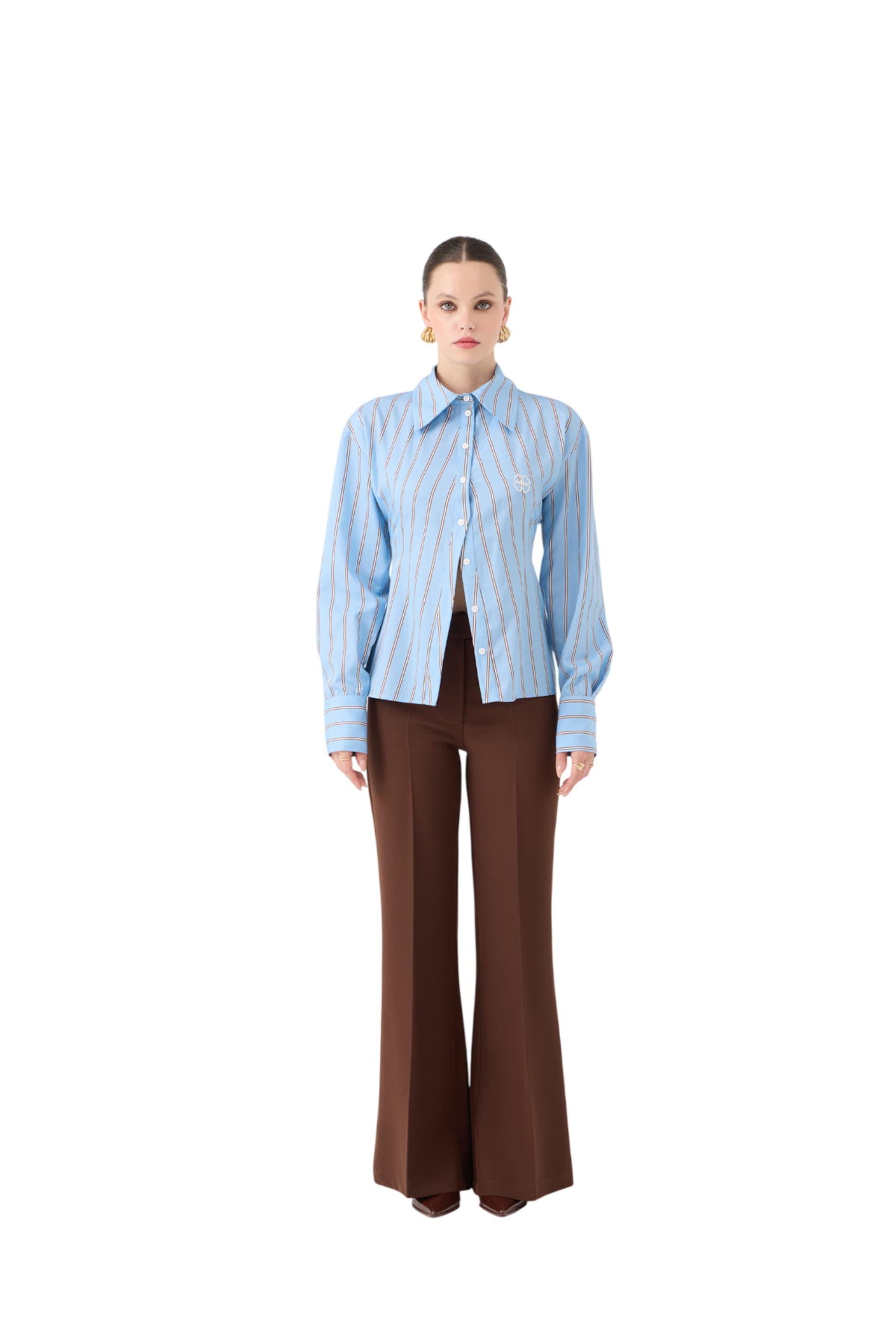 HOLLY LOLLY Flared Pleated Pants in Brown