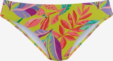 s.Oliver Bikini Bottoms in Green: front