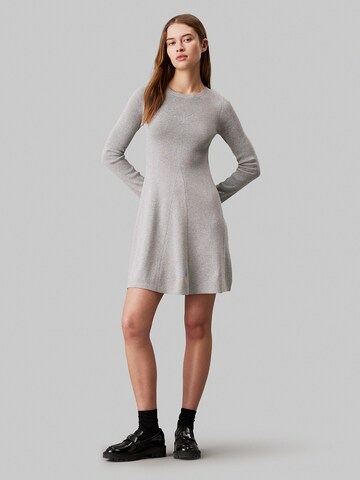 Calvin Klein Jeans Knit dress in Grey: front