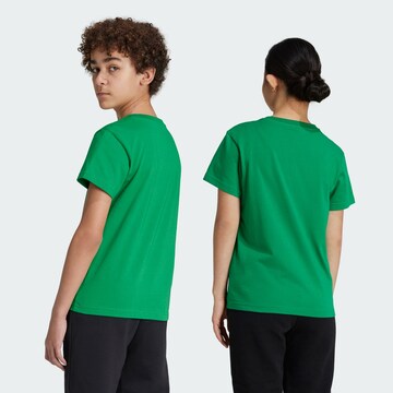 ADIDAS ORIGINALS Shirt 'Adicolor Trefoil' in Green