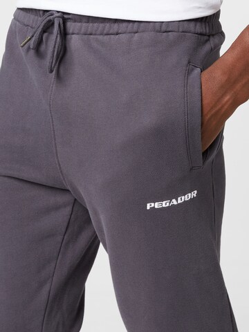 Pegador Tapered Pants in Grey