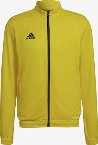 Giacca per l'allenamento 'Entrada 22' di ADIDAS SPORTSWEAR in giallo: frontale