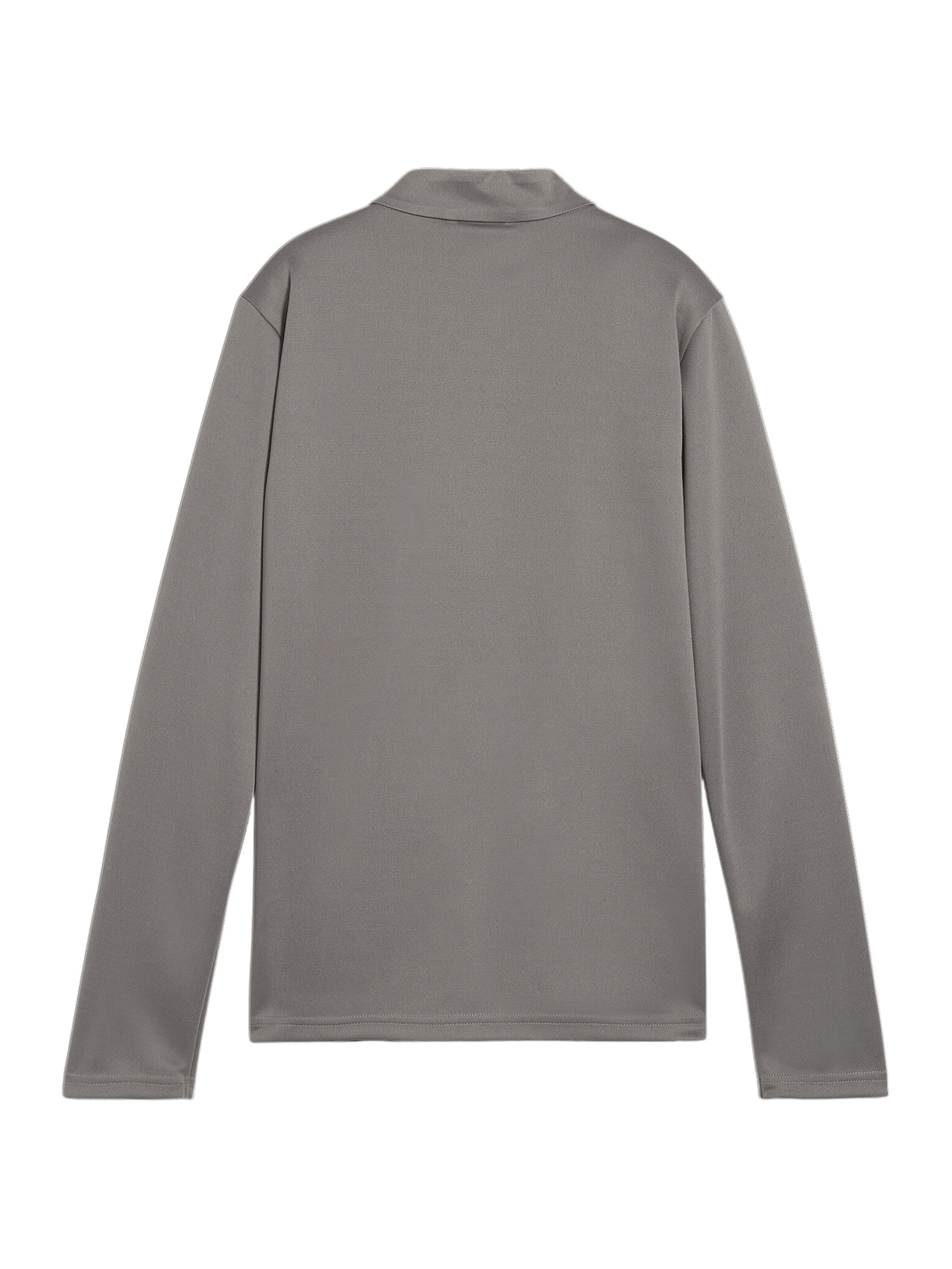 PUMA Trainingsjacke 'TeamGoal' in Grau