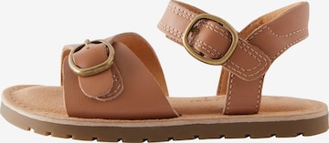 Next Sandalen in Bruin: voorkant