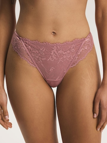 Panty 'Slip Cloe, florale Spitze, mit Baumwollzwickel, normale Leibhöhe' di ESOTIQ in rosa: frontale