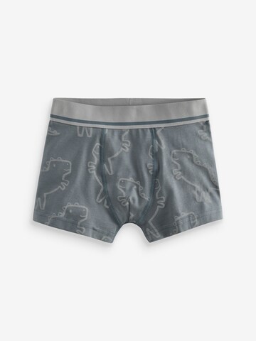 Next Underpants in Blue