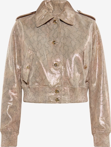 auksinė faina Demisezoninė striukė: priekis