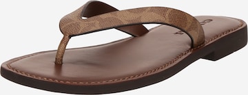 COACH Varvastossut 'BRIANNA' värissä ruskea: etupuoli