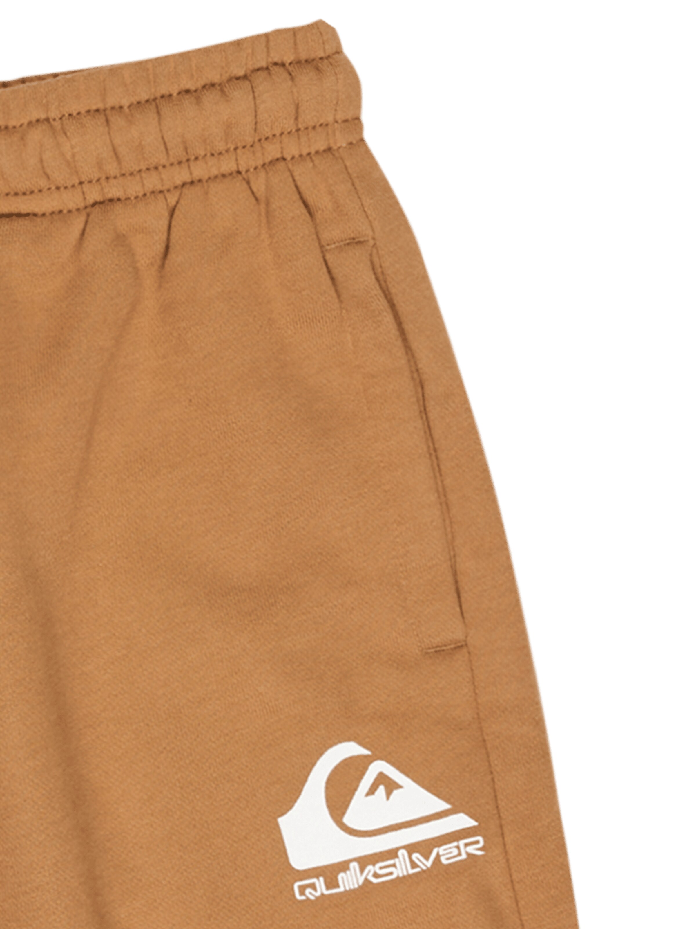 QUIKSILVER Regular Shorts ' Easy Day ' in Braun