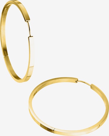 Steelwear Ohrring in Gold