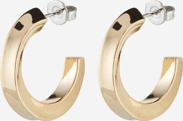 Calvin Klein Earrings in Gold: front