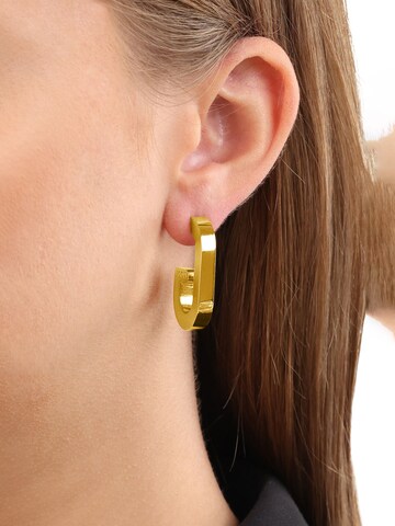 JOOP! Ohrringe in Gold: Vorderseite