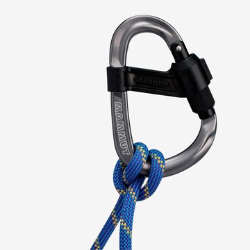 MAMMUT Climbing Protection 'Smart HMS 2.0 Screwgate Carabiner' in Silver
