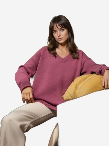 Hiccup Oversized trui in Lila