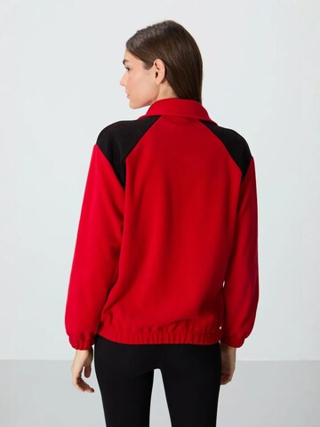 Tommy Life Bluzka sportowa 'Sweatshirts' w kolorze mieszane kolory
