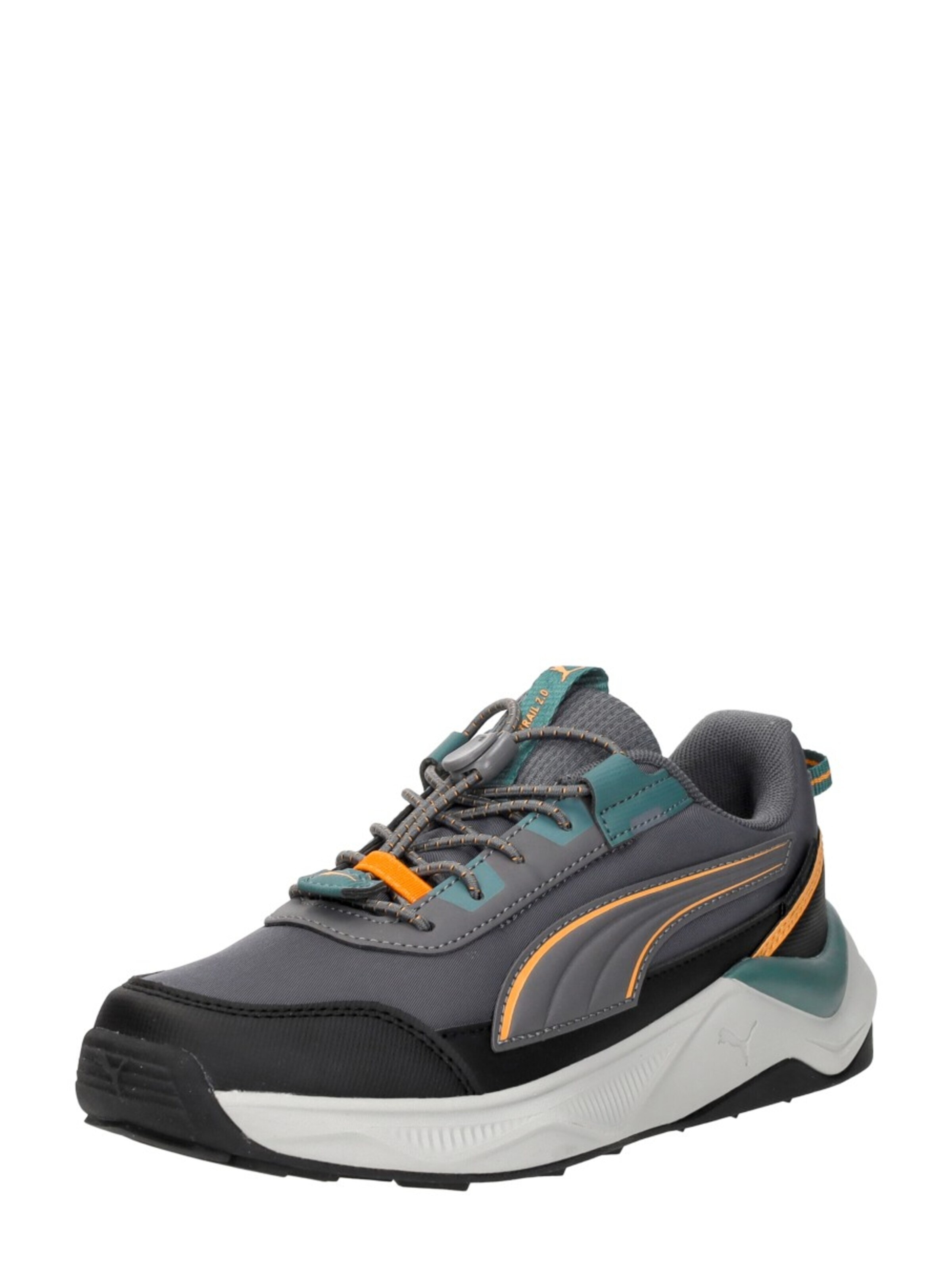 PUMA Sneakers 'Evolve 2.0 Trail Lo PS' in Grijs