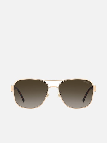 Carrera Sunglasses in Brown: front
