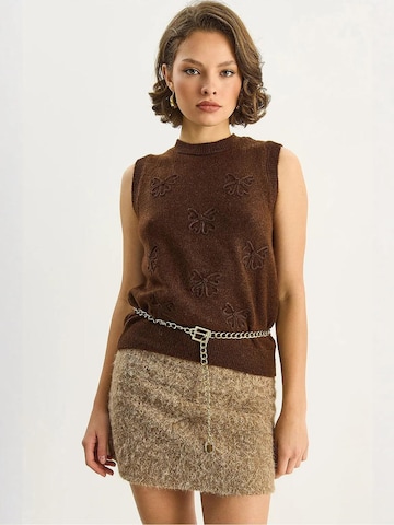 Bianco Lucci Sweater in Brown: front