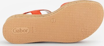 GABOR Sandals in Orange