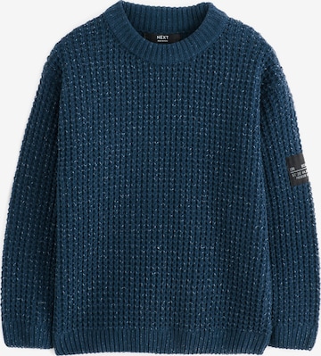 mėlyna Next Megztinis: priekis