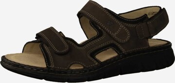 Finn Comfort Sandals in Brown: front