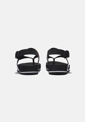 TIMBERLAND T-Bar Sandals in Black