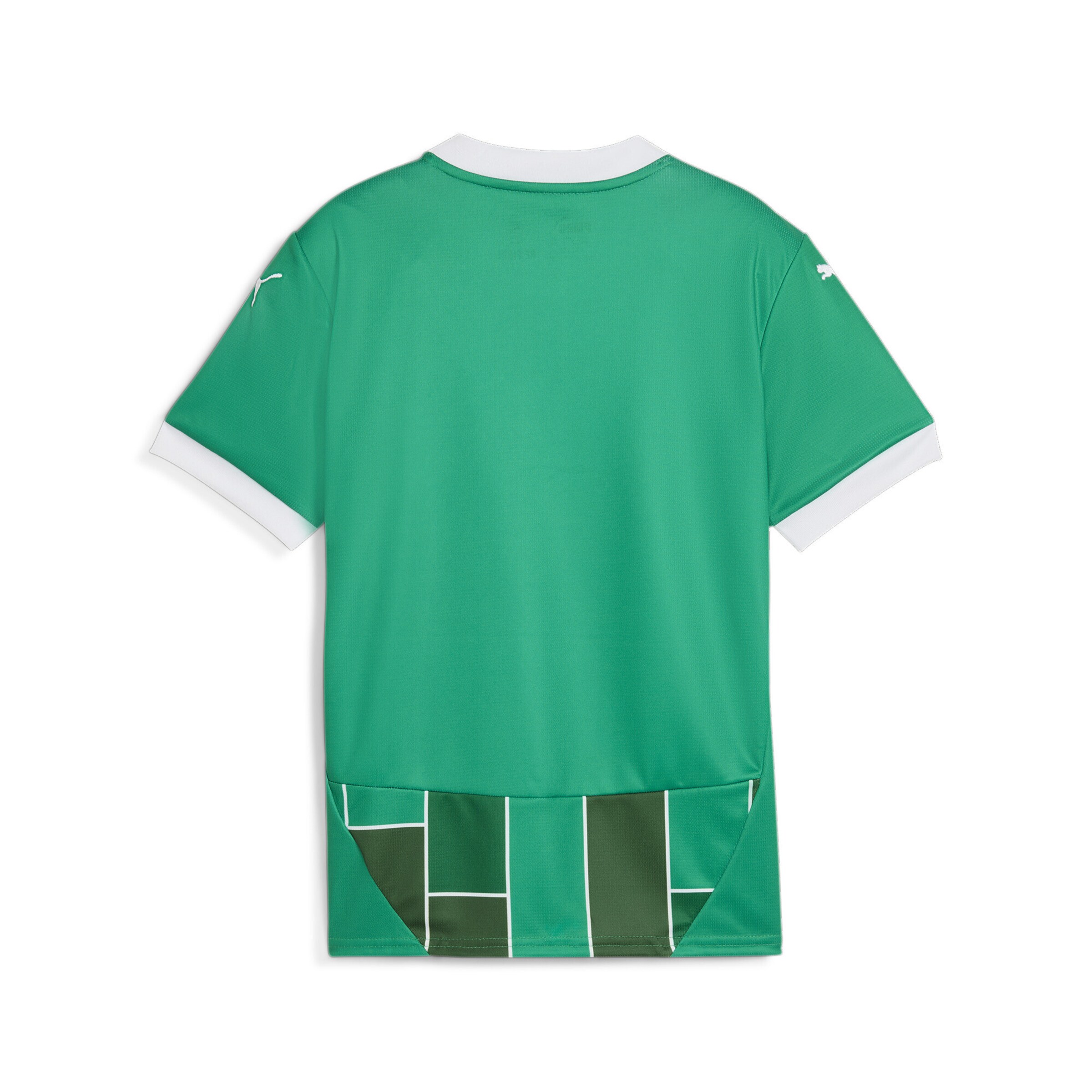 PUMA Performance shirt 'SK Rapid Wien' in Green