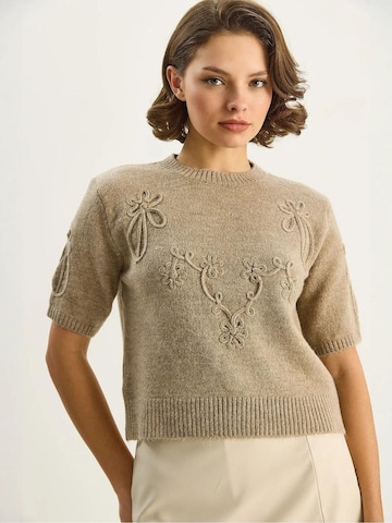 Pull-over 'Pullover' Bianco Lucci en beige