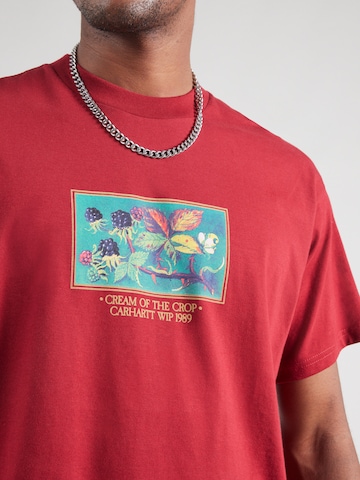 Carhartt WIP T-shirt 'Cream Of The Crop' i röd
