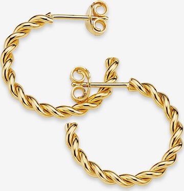 BRUNO BANANI Earrings in Gold: front