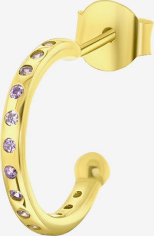 Lucardi Oorbellen 'Geburtsstein' in Goud: voorkant