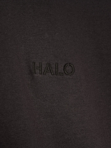 HALO Shirt in Bruin
