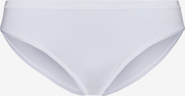 Hanro Panty ' Cotton Sensation ' in White: front