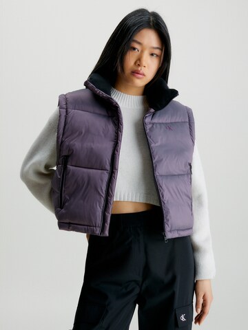 Calvin Klein Jeans Winter Jacket '2in1' in Purple