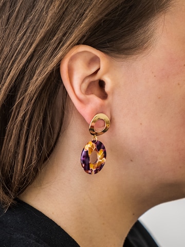 Fräulein Wunder Earrings 'Adua' in Gold: front