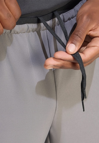 ADIDAS TERREX Regular Outdoorbroek 'Multi Liteflex' in Grijs