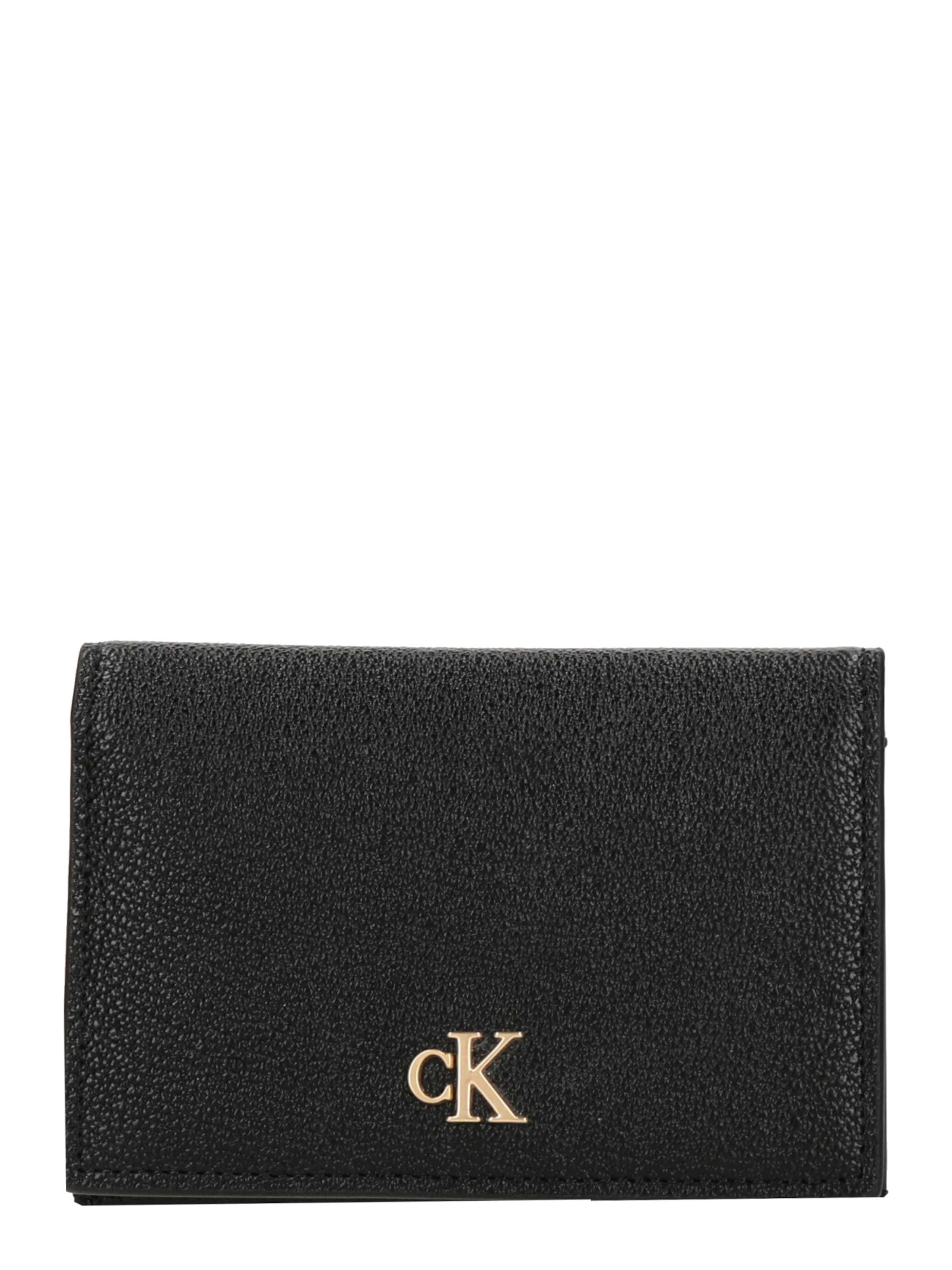 Calvin Klein Etui in Zwart: voorkant